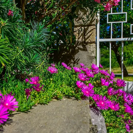 Adriana-3 By Interhome 아파트