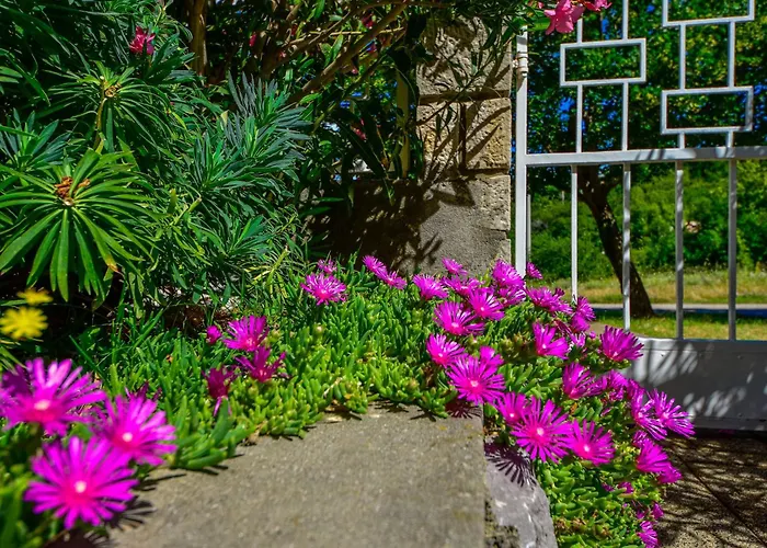 Adriana-3 By Interhome Apartment